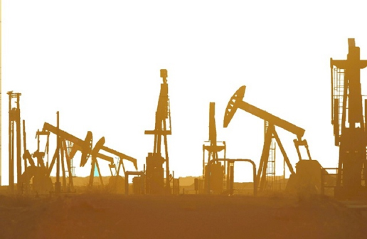 India witnesses renewed spurt in oil and gas exploration: Petroleum Minister  172 hydrocarbon discoveries reported since 2015, including 62 in offshore area
